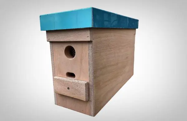 Plywood savings box (3 windows)